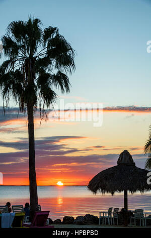 Florida Key Largo,Upper Florida Keys,Gilbert's Resort,Blackwater Sound,waterfront,sunset,palm tree,tiki umbrella,silhouette,Sabal palmetto,cabbage pal Stock Photo