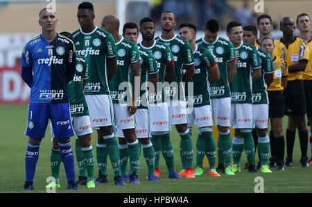 Araraquara, Brazil. 19th Feb, 2017. The team at SE Palmeiras in the match against CA Linense team during match valid for the fourth round of the Championship, A1 Series, in the Source Arena. Credit: Cesar Greco/FotoArena/Alamy Live News Stock Photo