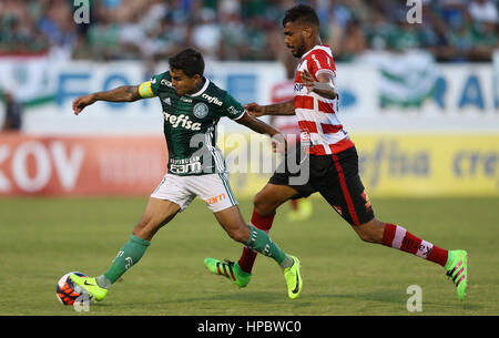 Araraquara, Brazil. 19th Feb, 2017. Dudu player, SE Palmeiras, ball dispute with the player of CA Linense during match valid for the fourth round of the Championship, A1 Series, in the Source Arena. Credit: Cesar Greco/FotoArena/Alamy Live News Stock Photo