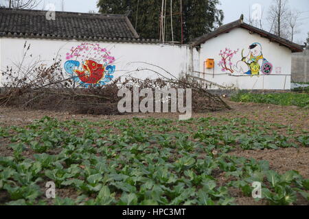 Deyang, Deyang, China. 20th Feb, 2017. Deyang, CHINA-February 20 2017: (EDITORIAL USE ONLY. CHINA OUT) .The wall of a house is decorated with Chinese traditional New Year paintings at a village in Mianzhu, Deyang City, southwest China's Sichuan Province, February 20th, 2017. Various New Year paintings can be seen everywhere in the village. Credit: SIPA Asia/ZUMA Wire/Alamy Live News Stock Photo