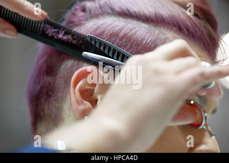 Hairdresser trimming hair with scissors Stock Photo