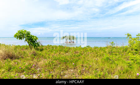 The beach at Cayo Jutias in the northern of Cuba Stock Photo