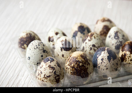 Organic quail eggs in a plastic holder box Stock Photo