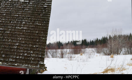 Worn Cedar Shake Roof on Collapsed Barn Stock Photo