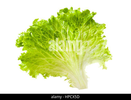 lettuce leaf isolated on white Stock Photo