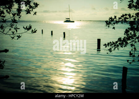 A dreamy scene of a sailboat anchored in the distance framed by silhouetted leaves. South Water Caye, Belize. Stock Photo