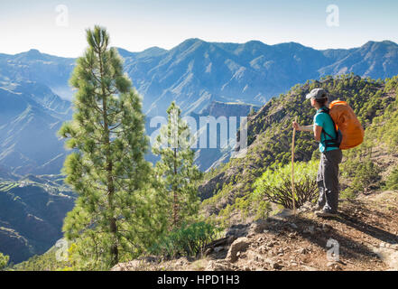 Female hiker in mountain pine forest on Gran Canaria in the Canary Islands, with view over the Tejeda crater Stock Photo