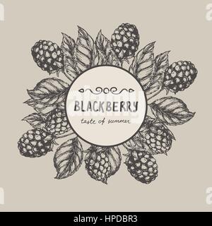 Blackberry Raspberry design template. Blackberry Raspberry branch engraving illustration. Vector illustration Stock Vector