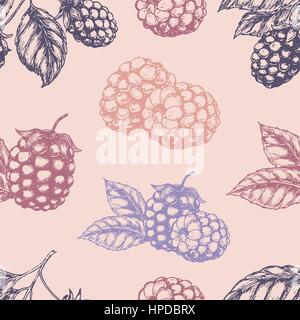 Raspberry blackberry seamless pettern. Vector illustration Stock Vector
