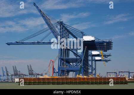 The giant cranes standing idle at Felixstowe container terminal, UK Stock Photo