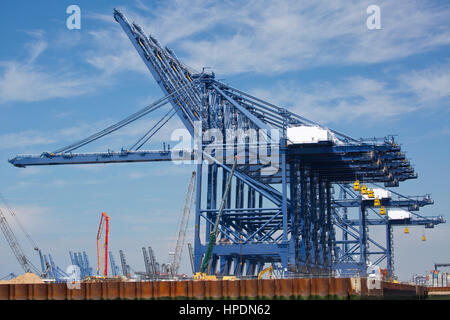 Giant cranes standing idle at the large container port at Felixstowe, UK. Stock Photo