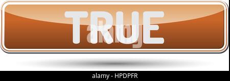 TRUE - Abstract beautiful button with text. Stock Vector
