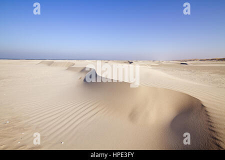 Small dunes (foredunes) on the beach Stock Photo