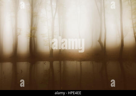 Dark water in misty spooky forest Stock Photo