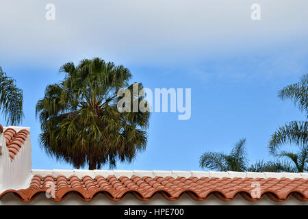 Close-up of a tiled roof with a palm and blue sky in background, picture from Puerta de la Cruz Tenerife Spain. Stock Photo