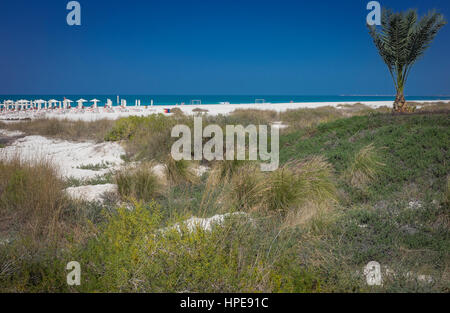 Saadiyat public beach,abu dhabi Stock Photo