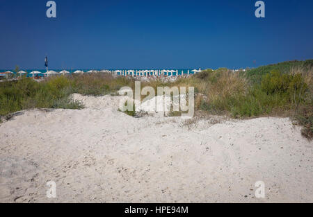 Saadiyat public beach,abu dhabi Stock Photo