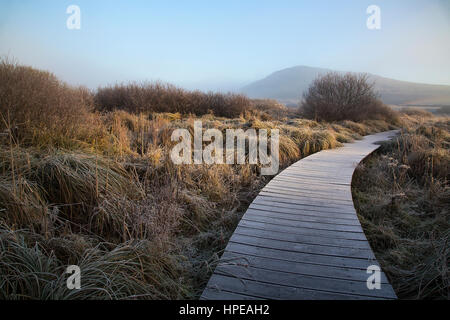 Sunrise on a frosty morning, over Fenor Bog Stock Photo