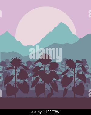 Blooming sunflowers field vector background landscape with sunset Stock Vector