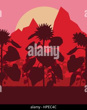 Blooming sunflowers field vector background landscape with sunset Stock Vector
