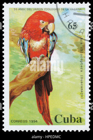 BUDAPEST, HUNGARY - 19 february 2017: stamp printed in Cuba shows Green-winged Macaw (Ara Chloroptera), circa 1994. Stock Photo