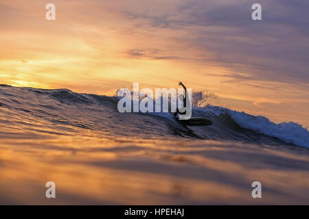 Surfer on a wave doing a maneuver at sunset Stock Photo