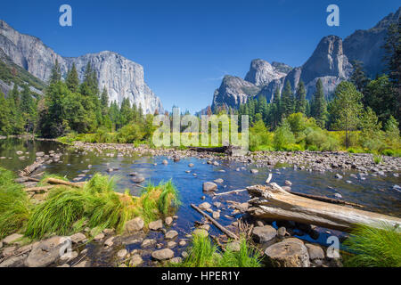 Classic view of scenic Yosemite Valley with famous El Capitan rock climbing summit and idyllic Merced river on a sunny day with blue sky and clouds in