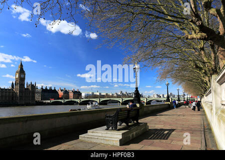 Summer, the Albert embankment and Westminster Bridge, South bank, river Thames, Westminster, London City, England, UK Stock Photo