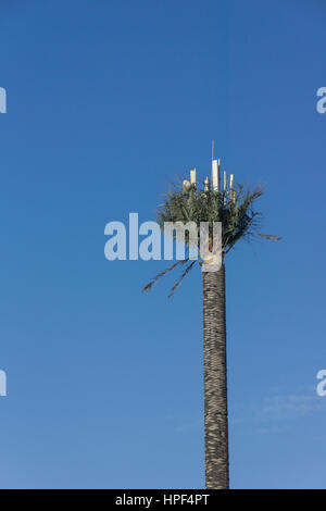 Tall mobile phone antenna/mast in Kuwait disguised as a palm tree/ date tree Stock Photo