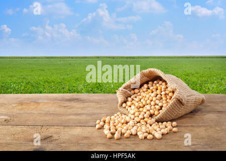 chickpea in sack. Chickpeas grains scattered out of the bag on table with green field on the background. Agriculture and harvest concept Stock Photo