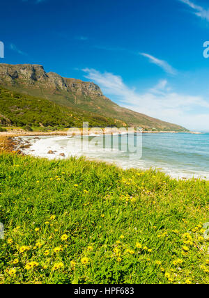 Coastline along the Chapman's Peak Drive near Cape Town in South Africa, Africa Stock Photo