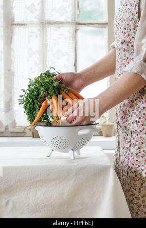 Bundle of fresh young carrots with green haulm under colander in female hands near white tablecloth table with window as background. Woman in rustic a Stock Photo