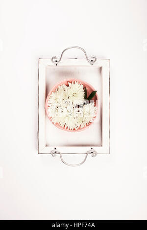 Close up of flowers floating in bowl of water on white background Stock Photo