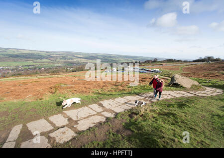 Ilkley, Yorkshire, UK. 22nd Feb, 2017. UK Weather. Dog walkers enjoy unshine and battle strong winds on Ilkley Moor, Yorkshire near the famous Cow and Calf rocks as the UK prepares for stormdoris Credit: Windmill Images/Alamy Live News Stock Photo
