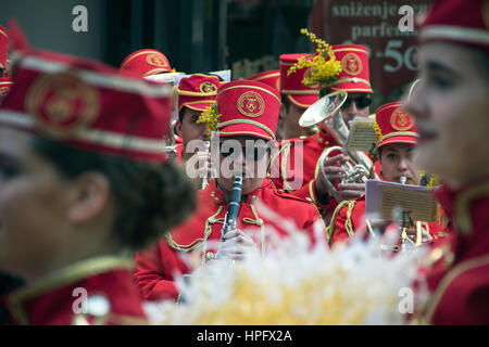 Belgrade, Serbia. 22nd Feb, 2017.  Majorettes and musicians from Herceg Novi (Montenegro) take part in the parade in the city center in Knez Mihailova Street in honor of the feast that celebrates the flowering of mimosa on the Adriatic coast which marks the end of winter and the beginning of spring season. Credit: Bratislav Stefanovic/Alamy Live News Stock Photo