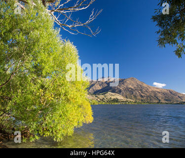 Arrowtown, Otago, New Zealand. View across the tranquil waters of Lake Hayes to the Remarkables, Double Cone discernible. Stock Photo