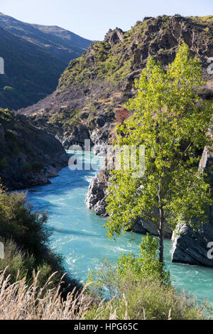 Cromwell, Otago, New Zealand. The turquoise waters of the Kawarau River rushing through the Kawarau Gorge downstream from Roaring Meg Falls. Stock Photo