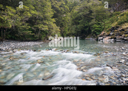 Haast Pass, Mount Aspiring National Park, West Coast, New Zealand. The Haast River near Fantail Falls. Stock Photo