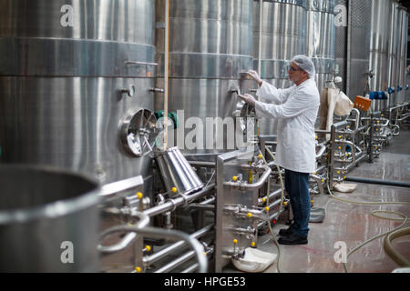 Factory engineer monitoring a pressure gauge of storage tank in bottle factory Stock Photo