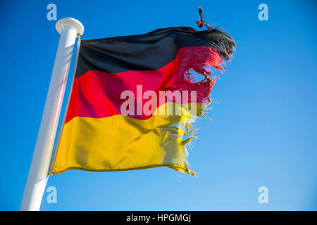 Flag of the Federal Republic of Germany, fluttering in the wind, is frayed, torn, Stock Photo