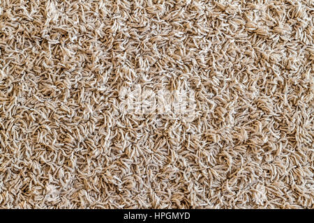 Light yellow shaggy carpet sample, a closeup shot of rug background texture. Knitted fabric Stock Photo