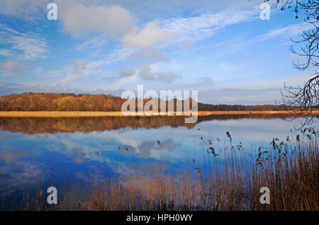 A view of Ormesby Little Broad on the Norfolk Broads from near Filby Bridge, Filby, Norfolk, England, United Kingdom. Stock Photo