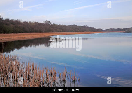 A view of Ormesby Broad on the Norfolk Broads from Rollesby Bridge, Rollesby, Norfolk, England, United Kingdom. Stock Photo