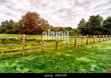 Beautiful English countryside. Stunning landscape over English countryside landscape Stock Photo