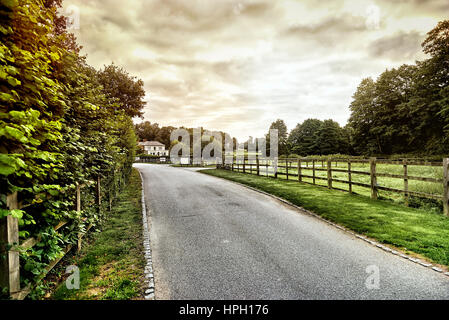 Beautiful English countryside. Stunning landscape over English countryside landscape in Summer sunrise. English country lane at sunrise. Stock Photo