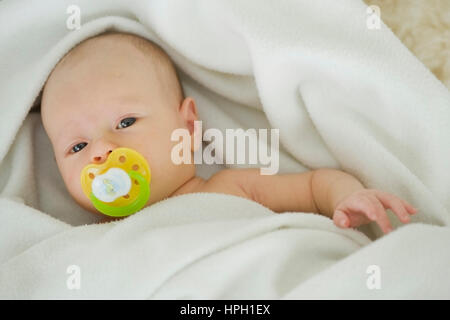 Model released , Baby mit Schnuller in Decke gewickelt - baby with soother Stock Photo