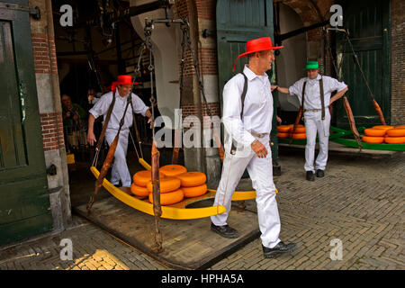 Guild cheese porters carry cheese truckles on a wooden stretcher from the scales to the market, Alkmaar, Netherlands Stock Photo