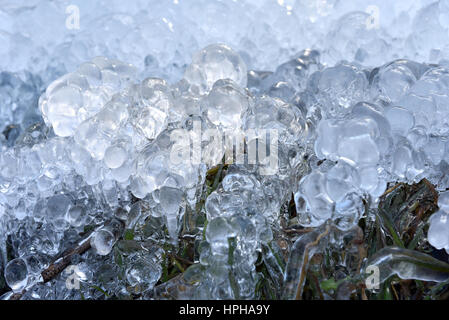 Abstract ice crystals on frozen plants at winter Stock Photo