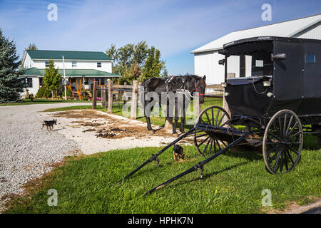 An Amish farm home with horse and buggies near Kidron, Ohio, USA. Stock Photo