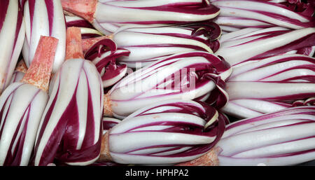 background of red chicory called Radicchio Rosso di Treviso in Italy for sale in the greengrocer Stock Photo